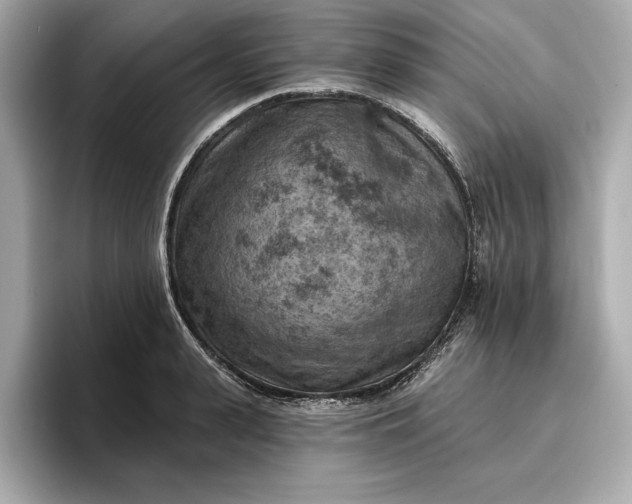 X0000096950943200802221319