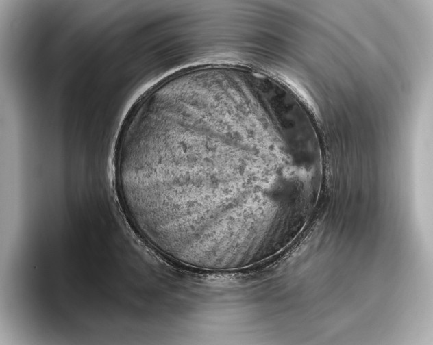X0000096950944200802221319