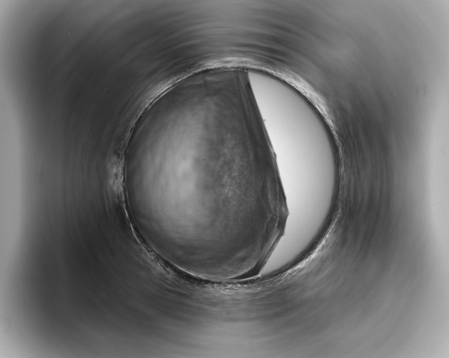 X0000096950945200802221319