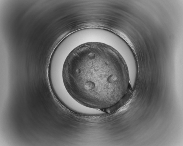 X0000096950946200802221319
