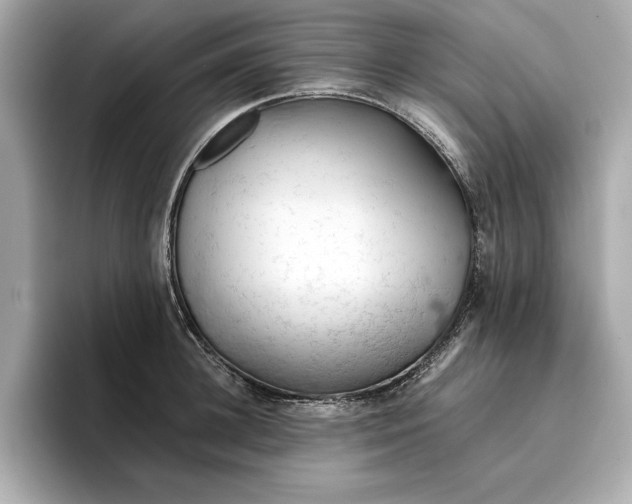 X0000096950948200802221319