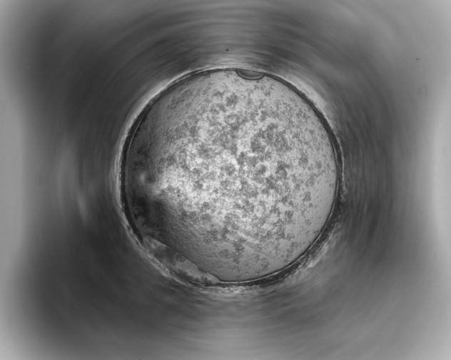 X0000096950949200802221319
