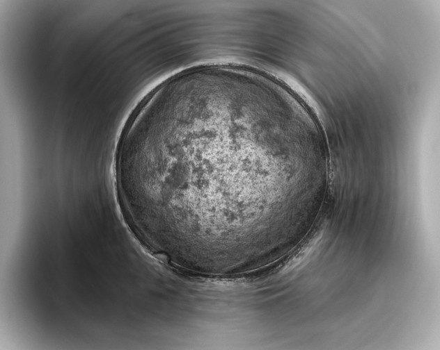 X0000096950951200802221319