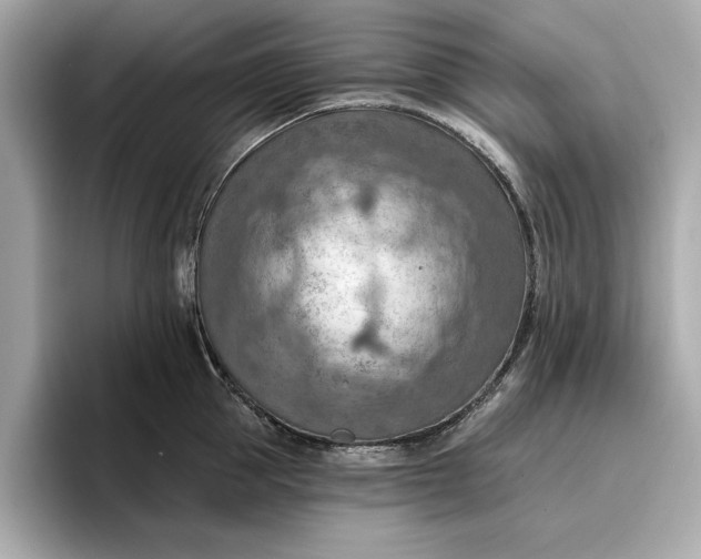X0000096950953200802221319