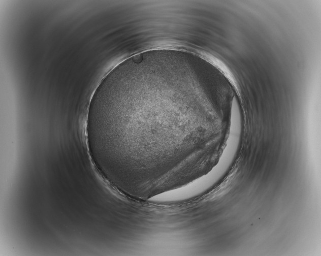 X0000096950954200802221319