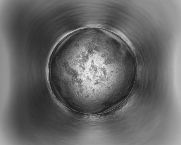 X0000096950955200802221319