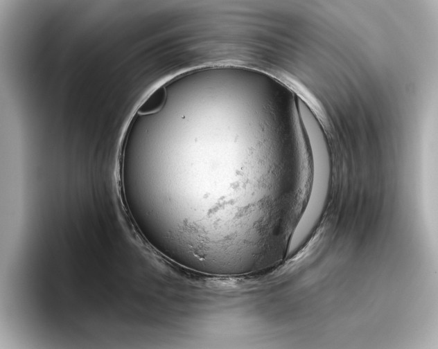 X0000096950956200802221319