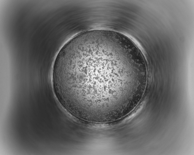 X0000096950957200802221319