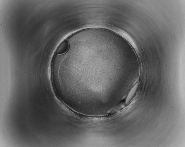X0000096950958200802221319