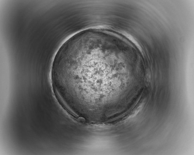 X0000096950959200802221319