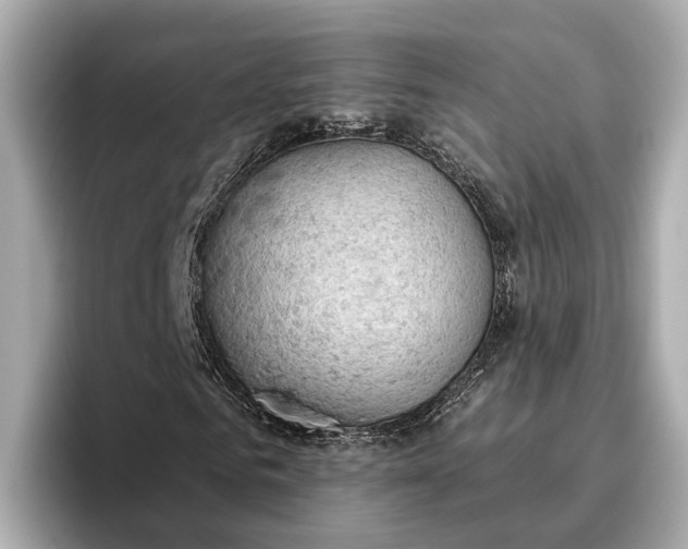 X0000096950961200802221319