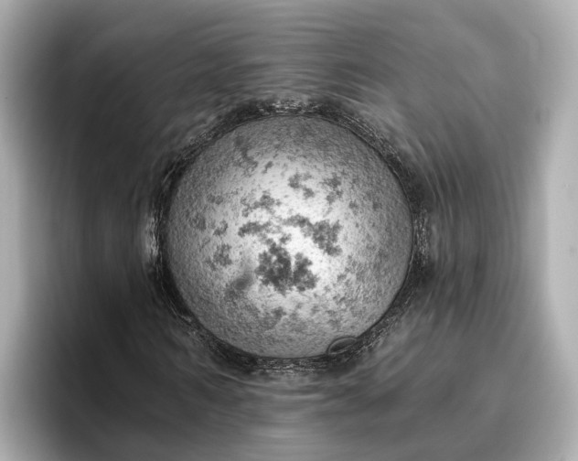 X0000096950962200802221319