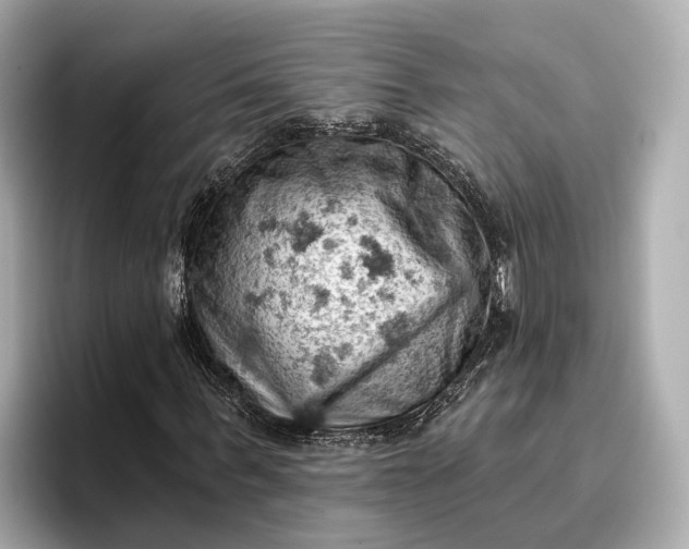 X0000096950963200802221319