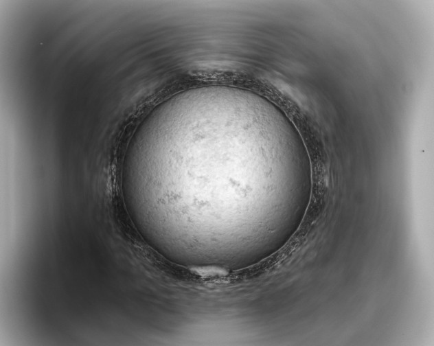 X0000096950965200802221319