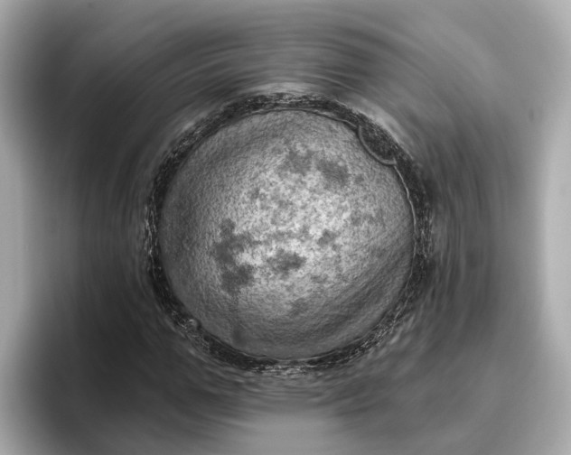 X0000096950967200802221319