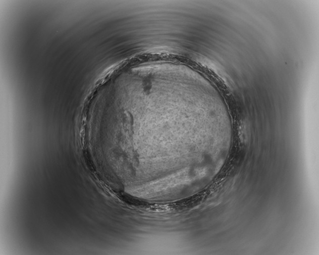 X0000096950968200802221319