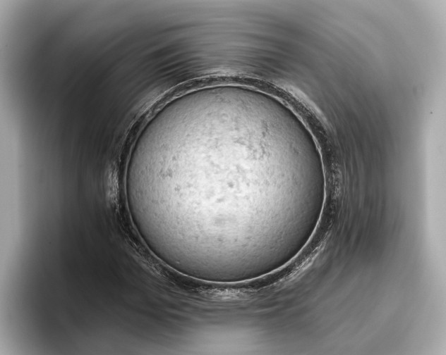 X0000096950969200802221319