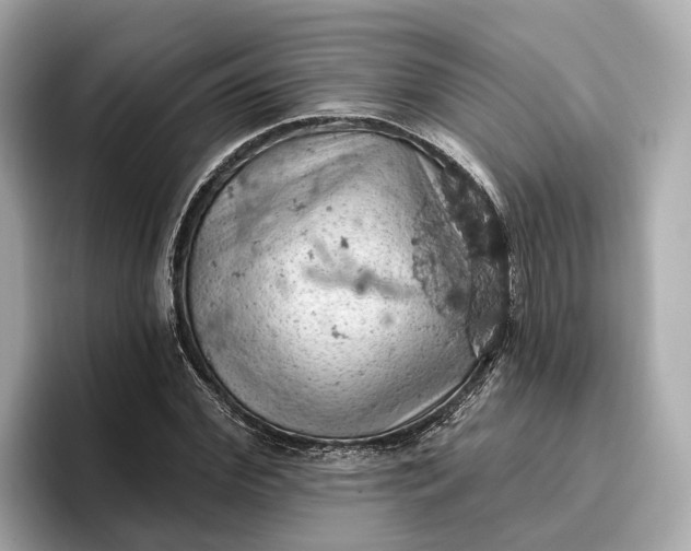 X0000096950972200802221319