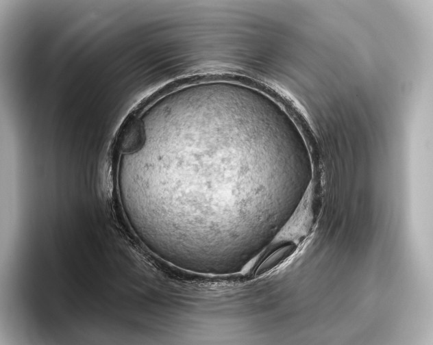 X0000096950973200802221319