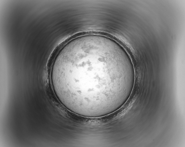 X0000096950974200802221319