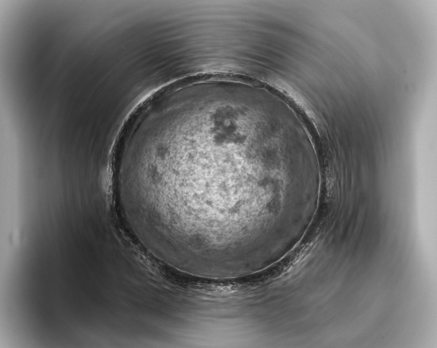 X0000096950975200802221319