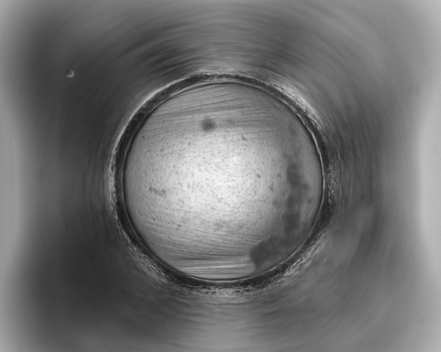 X0000096950976200802221319