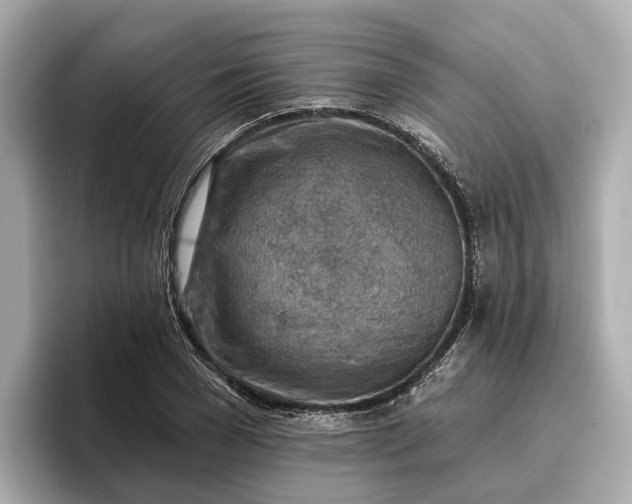 X0000096950977200802221319