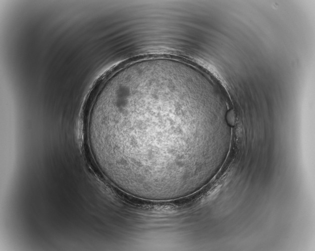 X0000096950979200802221319