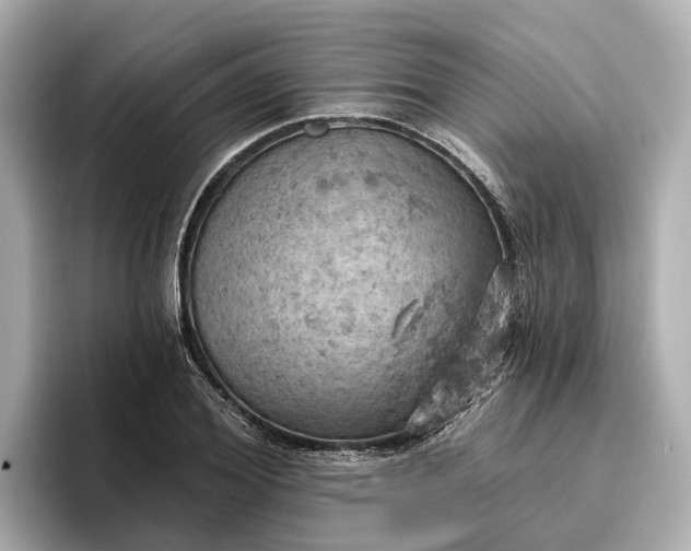 X0000096950980200802221319