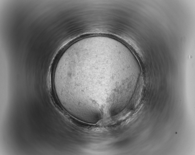 X0000096950982200802221319