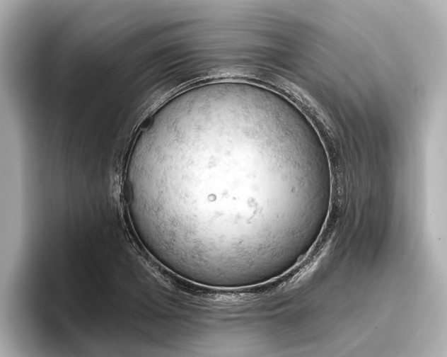 X0000096950985200802221318
