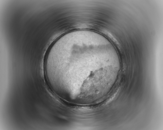 X0000096950986200802221318