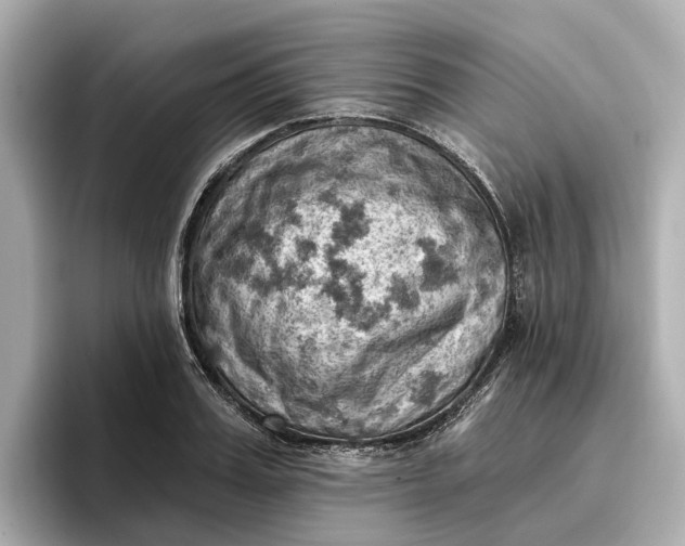 X0000096950987200802221318