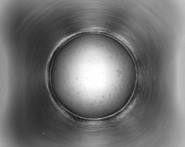 X0000096950989200802221318