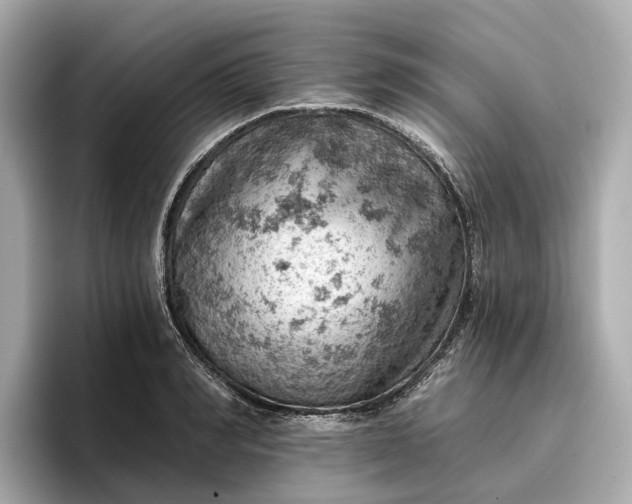 X0000096950990200802221318