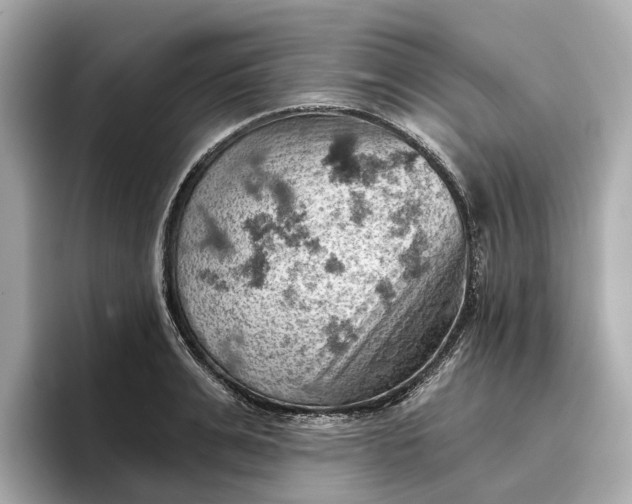 X0000096950991200802221318
