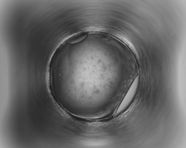 X0000096950992200802221318