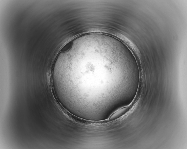 X0000096950993200802221318