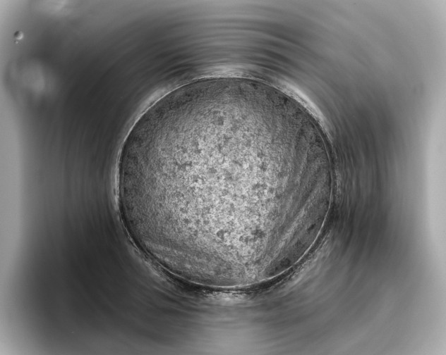 X0000096950994200802221318