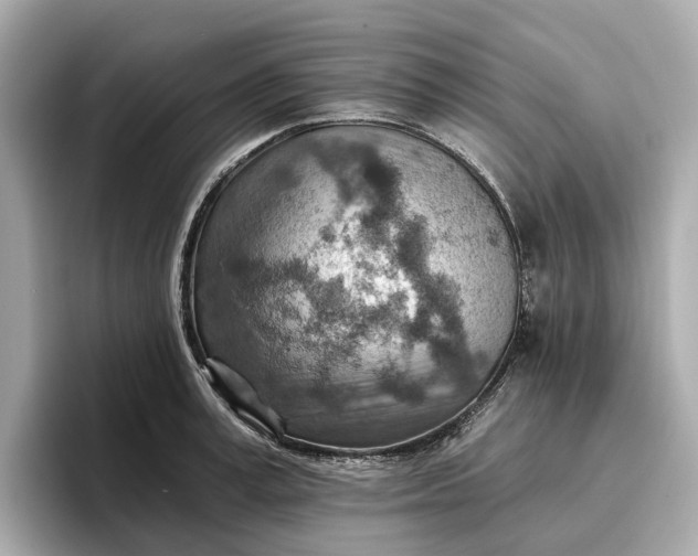 X0000096950995200802221318