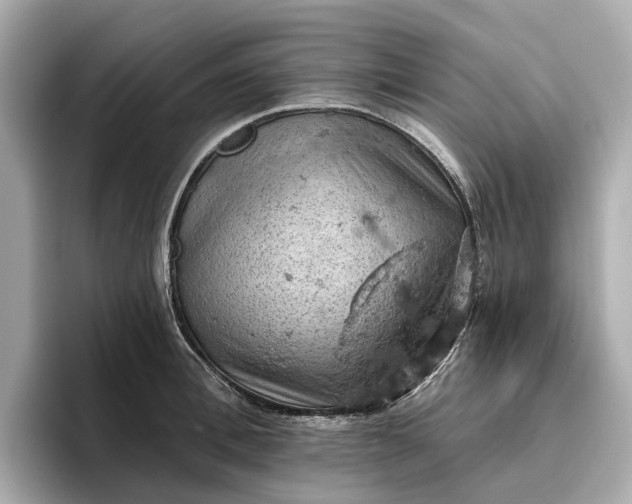 X0000096950996200802221318