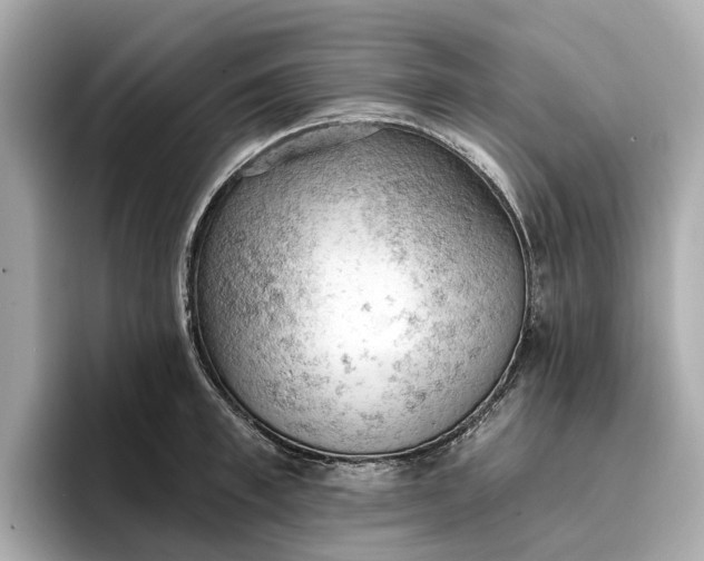 X0000096950997200802221318