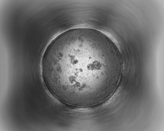 X0000096950998200802221318