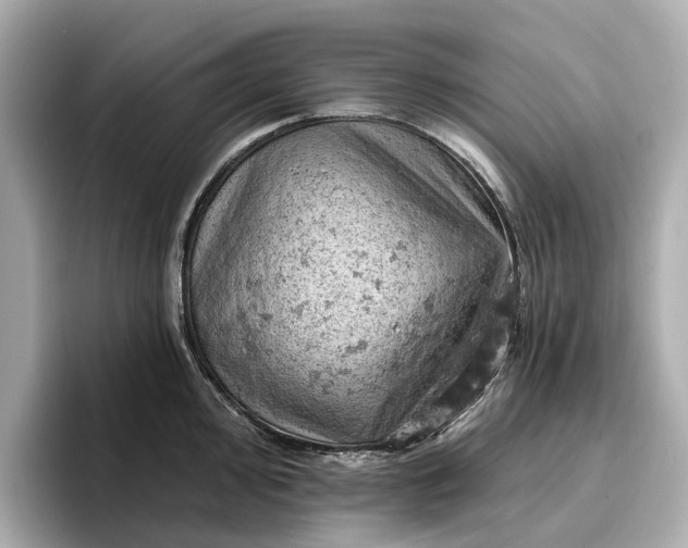 X0000096951000200802221318