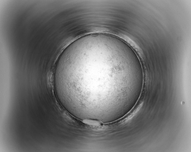 X0000096951001200802221318