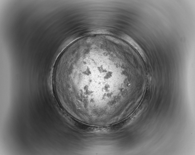 X0000096951002200802221318