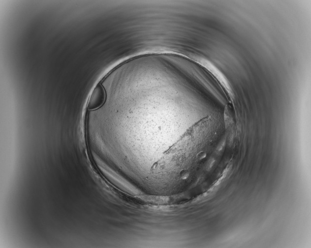 X0000096951004200802221318