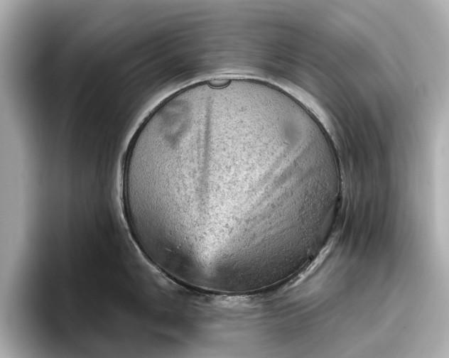 X0000096951006200802221318