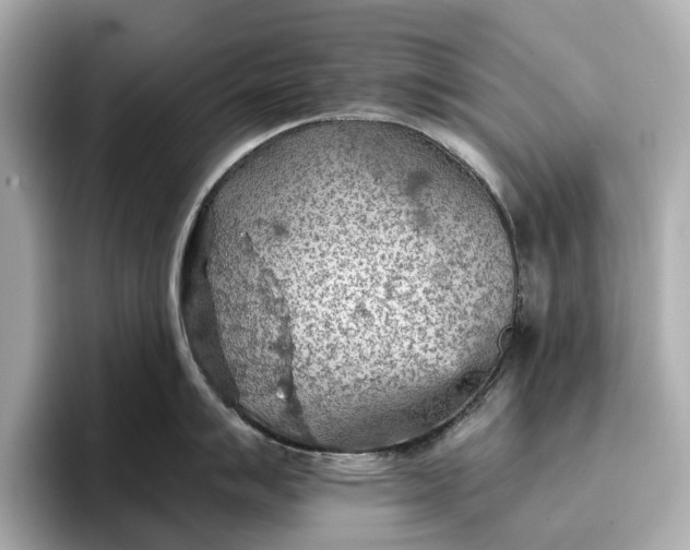 X0000096951007200802221318
