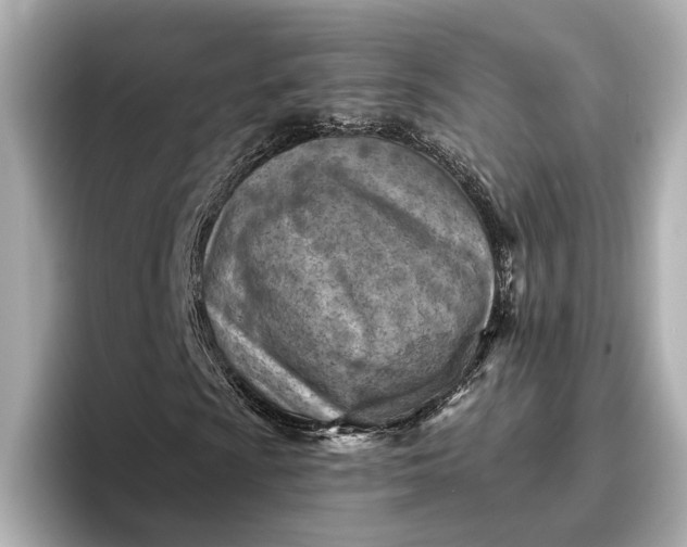 X0000096951009200802221318